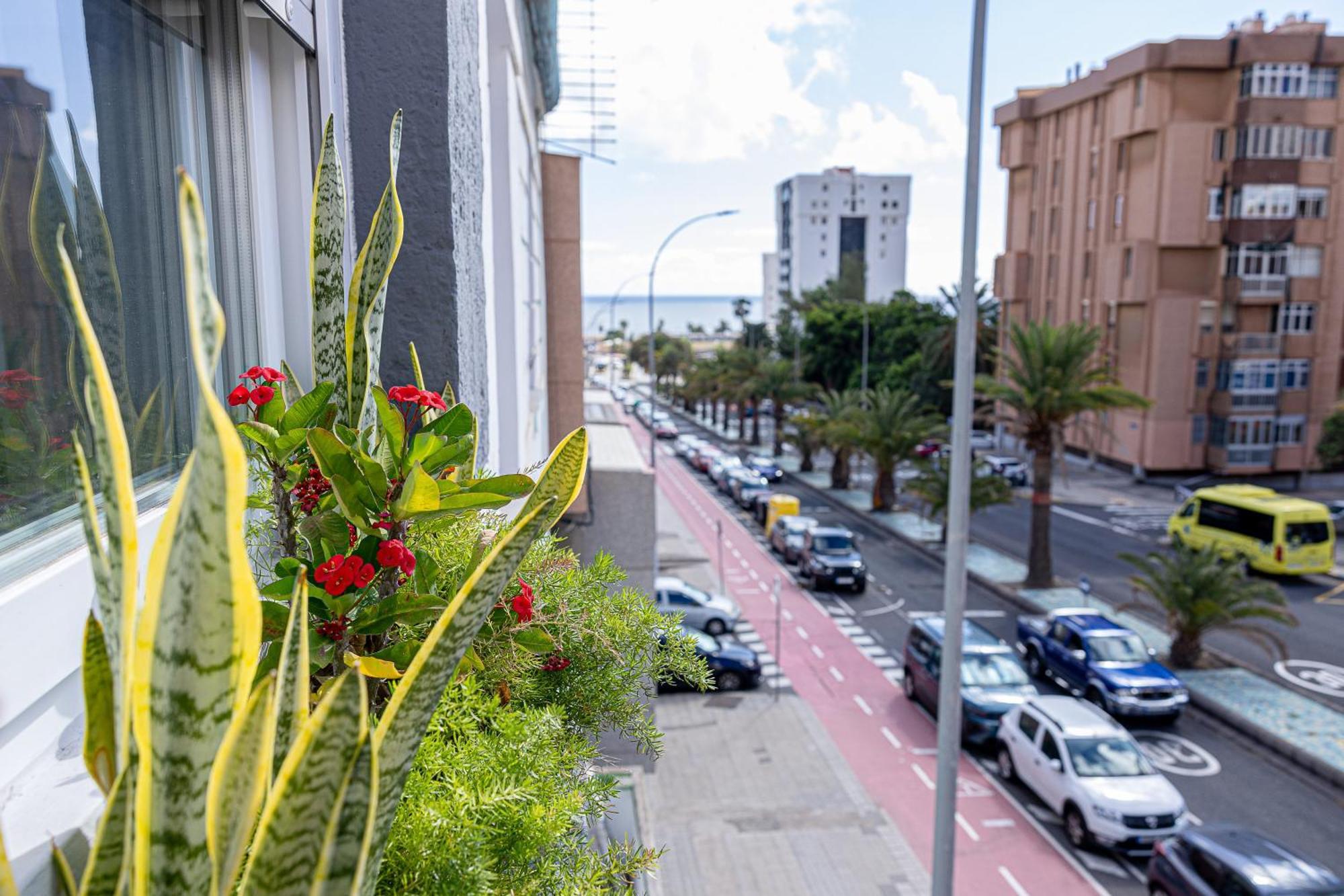 Apartment Bambu Vegueta Alquiler Por