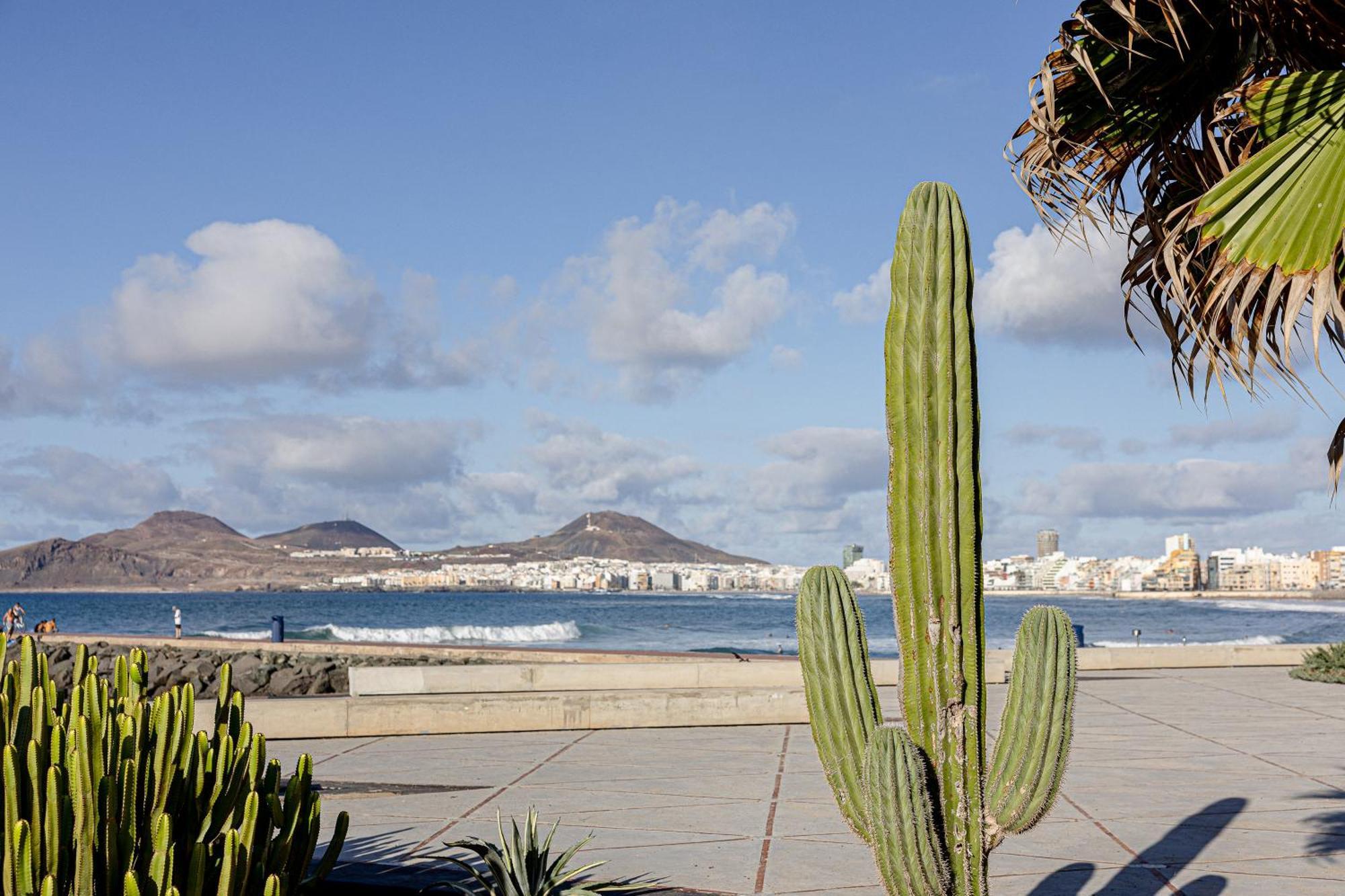 Bambu Vegueta Alquiler Por Appartement